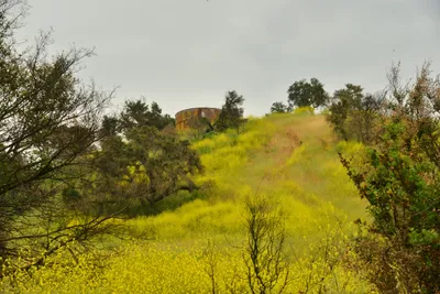 DSC_6290 (Large).JPG